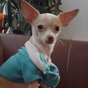 Meet your Posher, Maria